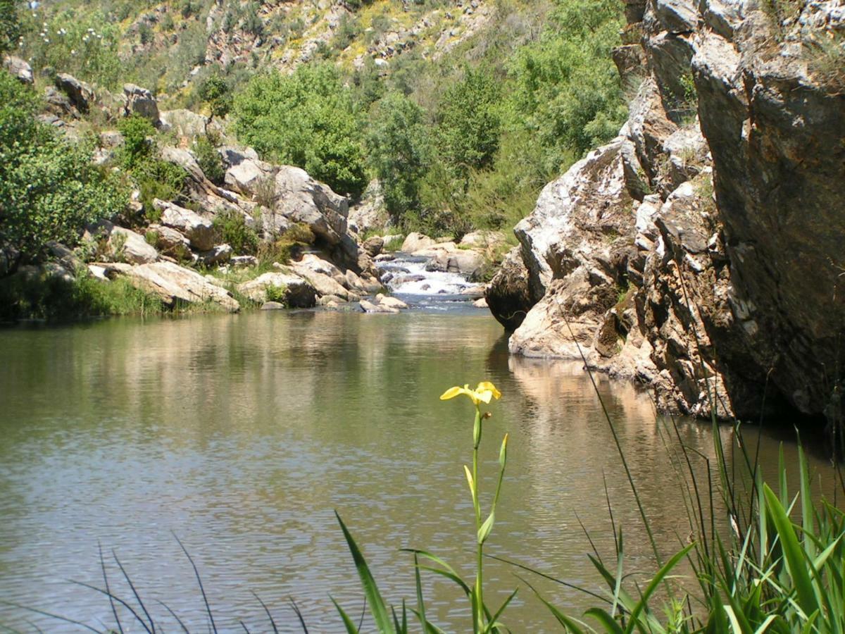 Blue Guide Milfontes Ξενοδοχείο Vila Nova de Milfontes Εξωτερικό φωτογραφία